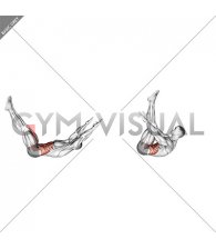 Lying Abdominal Scissors Crunch (male)