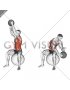 Sitting Woodchopper on Stability Ball (male)