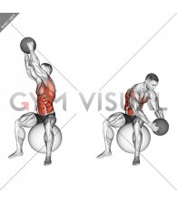 Sitting Woodchopper on Stability Ball (male)