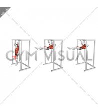 Hanging Front Lever Raise (male)