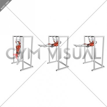 Hanging Front Lever Raise (male)