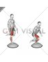 Bosu Ball Balance Counterbalanced Skater Squat (male)