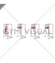 Hanging Tucked Front Lever Hold (male)