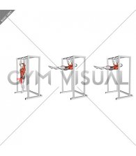 Hanging Front Lever Hold (male)