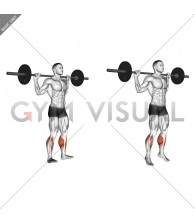 Barbell Standing Rocking Leg Calf Raise