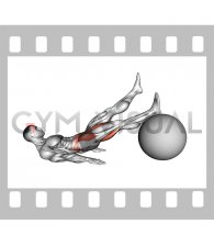 Straight Hip Single Leg Curl on Stability Ball (male)