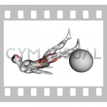 Straight Hip Single Leg Curl on Stability Ball (male)