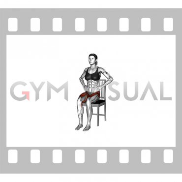 Sitting Alternating Leg Raise and Abductor on a Chair (female)