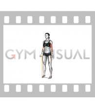 Resistance Band Biceps Curl (female)