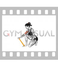 Resistance Band Concentration Curl (female)