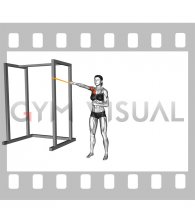 Resistance Band Single Arm Low Chest Fly (female)