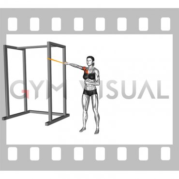 Resistance Band Single Arm Low Chest Fly (female)