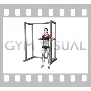 Resistance Band Standing Chest Press (female)