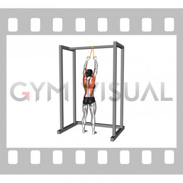 Resistance Band Standing Lat Pulldown (female)