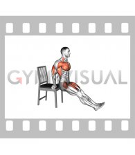 Sitting Dip and Leg Raise on a Chair (male)