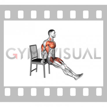 Sitting Dip and Leg Raise on a Chair (male)