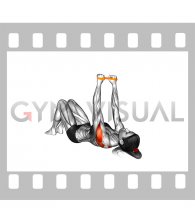 Resistance Band Lying Shoulder Abduction (female)