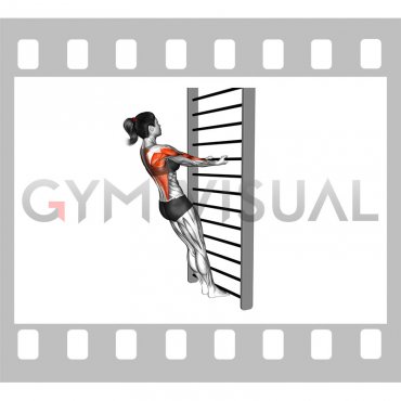 Standing Inverted Row (female)