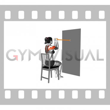 Resistance Band Sitting Reverse Butterfly on a Chair (female)