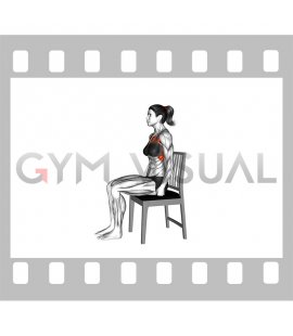 Sitting Press-up on a Chair (female)