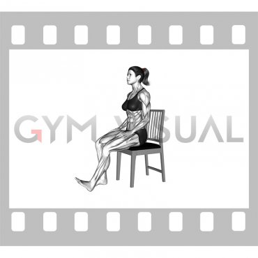 Sitting Toe Tapping Stretch on a Chair (female)