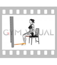 Resistance Band Sitting Knee Flexion on a Chair (female)