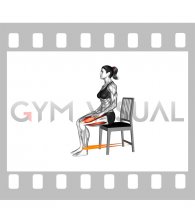 Resistance Band Sitting Knee Extension on a Chair (female)