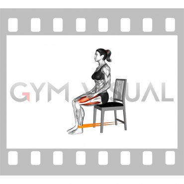 Resistance Band Sitting Knee Extension on a Chair (female)