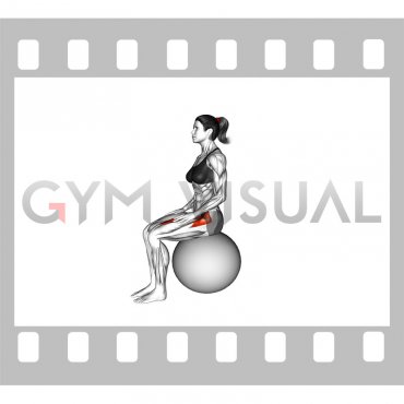 Sitting Knee Raise on a Stability Ball (female)