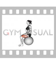 Sitting Knee Extension on a Stability Ball (female)