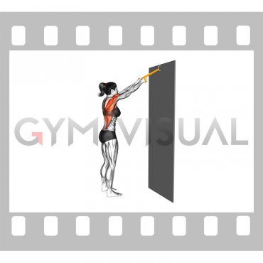 Resistance Band Standing Straight Arms Pulldown (female)