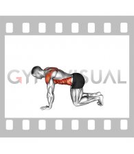 Single Arm Scapular Push-up to Rotation (male)