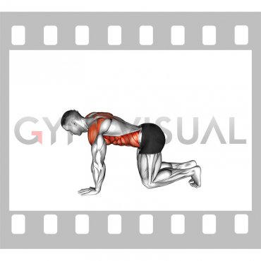 Single Arm Scapular Push-up to Rotation (male)