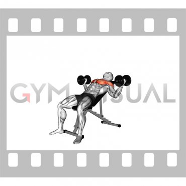 Dumbbell Incline Alternative Fly (male)