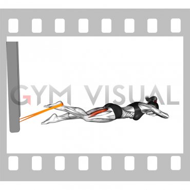 Resistance Band Lying Single Leg Curl (female)