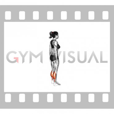 Standing Isometric Hold Calf Raise (female)