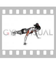 Isometric Hold Wide Hand Push-up (female)