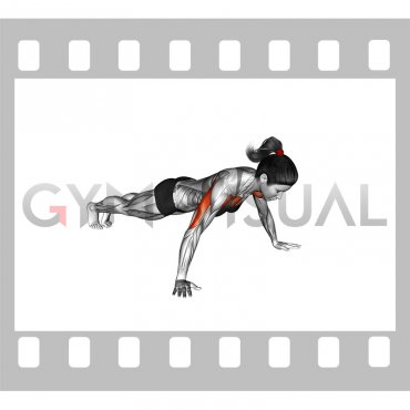 Isometric Hold Wide Hand Push-up (female)