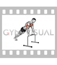 High Bar Incline Push-up (male)