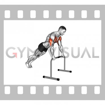 High Bar Incline Push-up (male)