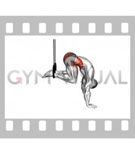 Ring Isometric Hold Reverse Ab Rollout