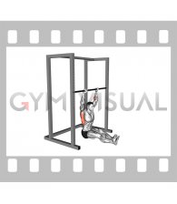 Seated Isometric Hold Pull up