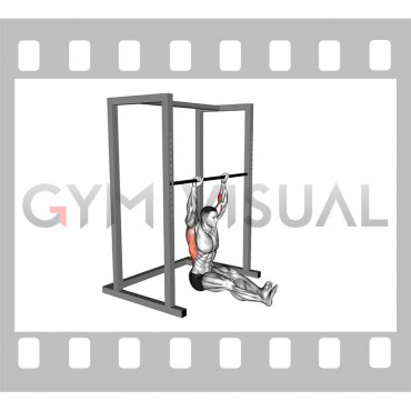 Seated Isometric Hold Pull up