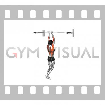 Isometric Hold Close Grip Chin-up (female)