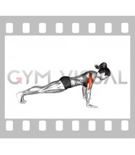 Isometric Hold Push-up (female)