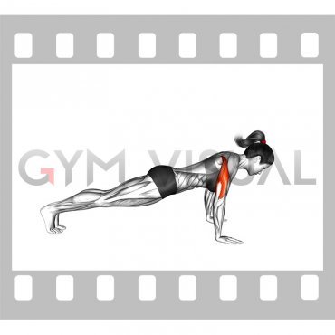 Isometric Hold Push-up (female)