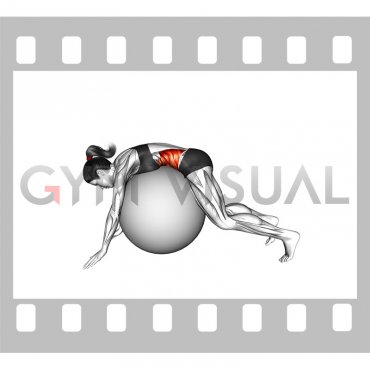 Lying Side to Side Roll on Stability Ball (female)