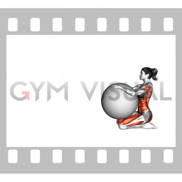 Roll Pull and Bend on Stability Ball (female)