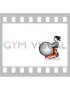 Torso Scissors on Stability Ball (female)