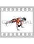 Dumbbell Plank Pass Through Push up